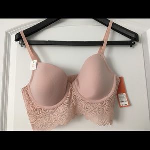 3 New Gilligan O'Malley Lace Bras Size 36B